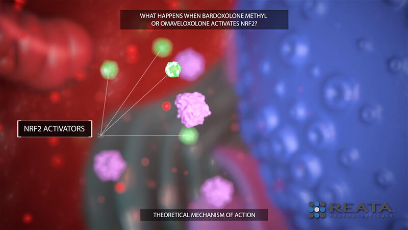 Reata Medical Animation